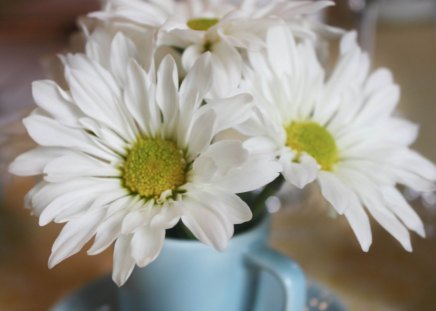 Bright morningâ™¥ - love, white, centerpiece, nature, mini, yellow, forever, blue, flowers, mug