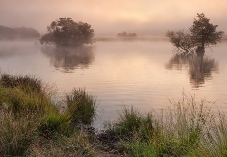 Sucession - sucession, lake, fog, mist