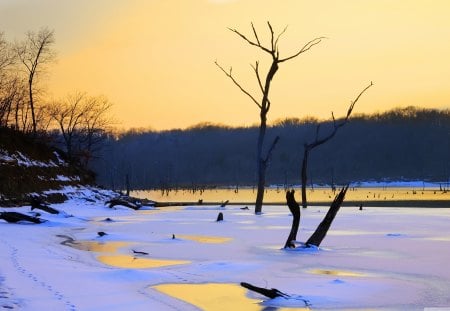 Footprints in the Snow - snow, lake, footprints, sunset