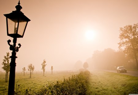 Lonely Lantern in the Fog - lamp, lonely, fog, lantern