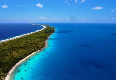 Beautiful Beach - nature, sky, ocean, beach, trees, blue, beautiful