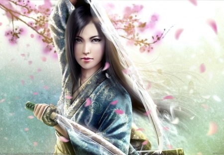 Beautify With Sword - ancient, woman, hot, chinese, brunette, asian, sexy