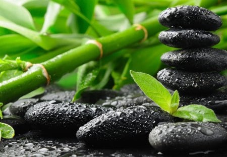 Bamboo and black stones - pretty, black, concept, beautiful, stones, harmony, droplets, drops, bamboo, treatment, nice, spa, lovely, wet, stone, green