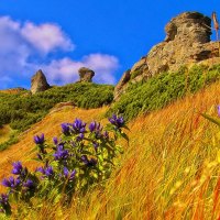 Grassy mountain slope