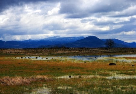 marsh lands - clouds, trees, water, grass, mountains, rocks