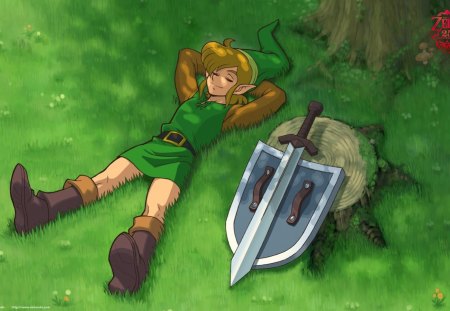 Sleeping Link