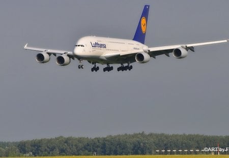 AIRBUS A-380 - flugzeuge, vienna, airport, airbus