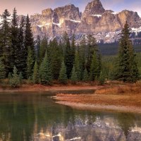 Castle Mountain Boreal Forest, Banff National Park, Alberta, Canada