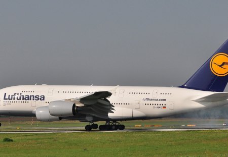 AIRBUS A-380 - aircraft, airport, vienna, airbus