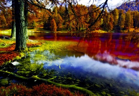 FALL LAKE - calm, nature, season, autumn, lake