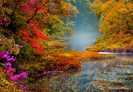 AUTUMN RIVER GLOW - nice, season, autumn, colorful, path, road, foliage, calm, fall, pretty, river, rivers, forests, falling, rain, wet, wallpaper, lovely, bushes, nature, glow, forest, beautiful, leaves, misty, flower, new