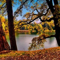 Lake in fall