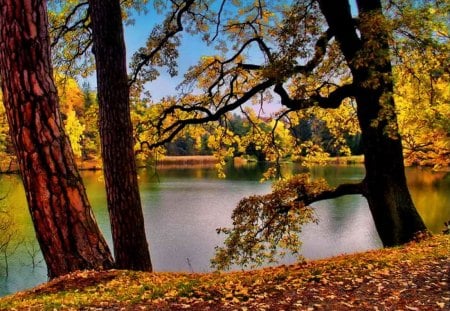 Lake in fall - nice, lakeshore, autumn, sky, riverbank, colorful, clear, mirrored, foliage, crystal, fall, pretty, reflection, calmness, river, harmony, branches, lake, falling, shore, lovely, serenity, nature, beautiful, leaves, waters, colors