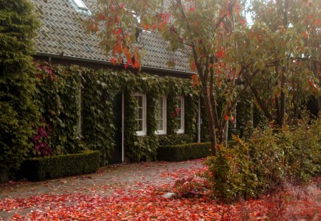 Green house - house, trees, windows, architecture, leaves, fall, roof, autumn, red, green, leaf, houses