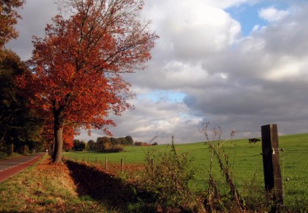 Autumn road - fields, autumn, sky, trees, field, leaf, ditch, nature, red, clouds, leaves, grass