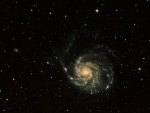 Spiral Galaxy