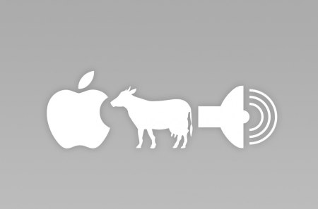 Apple +  Cow =  A Sound - abstract, funny, cow, apple