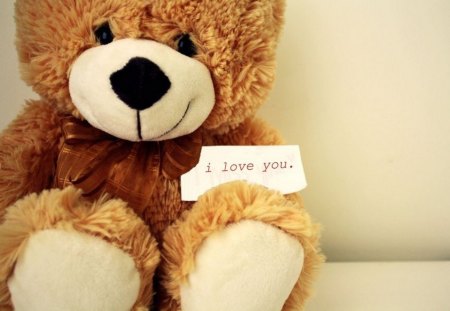 »â™¥A teddy bear who loves you»â™¥ - love, brown, bear, color, teddy, cute