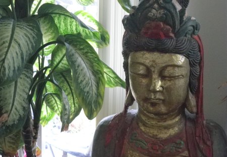 ~serenity now~ - serenity, meditation, plant, buddha