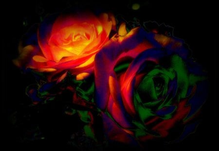 ♥     ~☜✿☞~Dark Roses~☜✿☞~     ♥