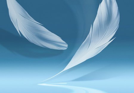 Feather - cg, feather, abstract, wing