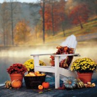 Fall decoration on the garden terrace