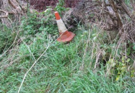 Cone Of Nature - cone, nature, refuse, grass