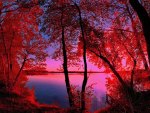 Red landscape