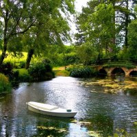 Small bridge over the pond