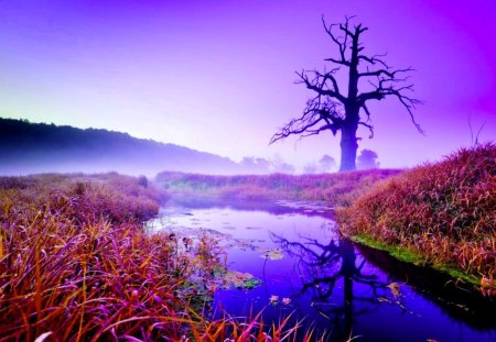 AUTUMN FOG - fog, tree, autumn, river