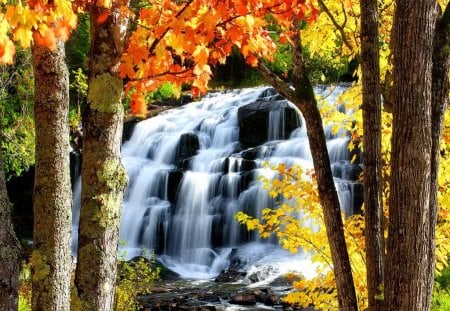 Bond falls in fall - nice, autumn, stream, water, waterfall, foliage, rocks, fall, pretty, falling, cascades, bond falls, lovely, nature, forest, beautiful, leaves