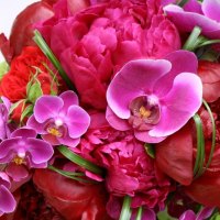 *** A bouquet of peonies and orchids ***