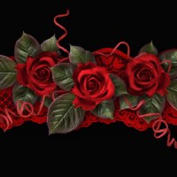 Red Roses Red Lace