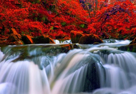 AUTUMN FALLS - nature, season, waterfalls, autumn