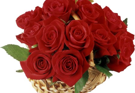 rose basket - basket, flowers, roses, red