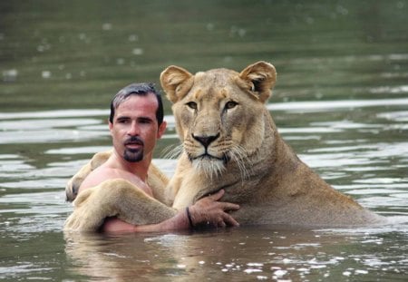 The Lion Whisperer - lions, lion whisperer, zoologist, kevin richardson, animal behaviourist