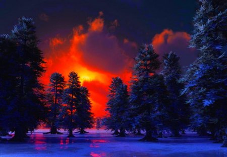 WINTER SUNSET - winter, sky, sunset, trees