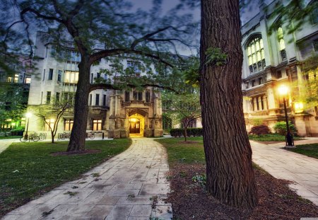 The University of Chicago - school, university, buildings, chicago