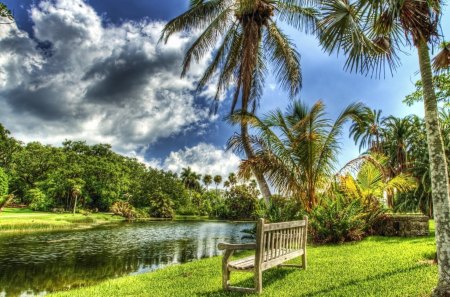 Summer in the Park - artistic, rivers, scene, scenario, meadow, parks, renderized, trunks, plants, bench, paisa, other, natural, grasslands, green, shadows, blue, yellow, amazing, leaves, forests, view, sky, clouds, water, photoshop, scenic, cool, reflex, black, scenery, wood, high dynamic range, hdr, nice, beije, made man, beauty, palm, white, picture, nature, lakes, wallpaper, landscape, grass, photo, reflection, creeks, mirror, grove, art, branches, trees, image, artwork, beautiful, photography, fields, orange, paisagem, cenario, awesome, cena, panorama, leaf