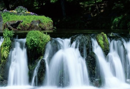 Sparkling Flowing Falls - trees, falls, day, bush, daylight, water, waterfalls, nature, white, forest, flowing, river, rock