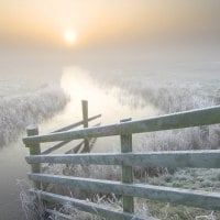 foggy winter sunrise in kent england