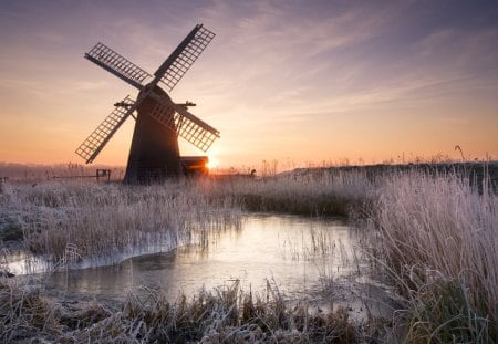 windmill in frosty sunrise in suffolk england - reeds, frost, stream, sunrise, windmill