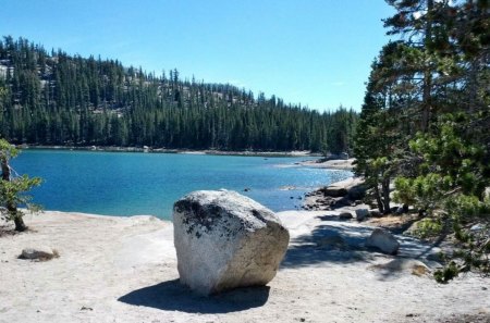 by the lake - lake, trees, nature, outdoors