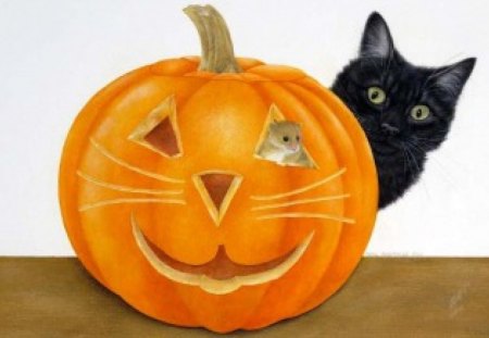 Anne Mortimer - anne mortimer, kitten, cat, mouse, pumpkin