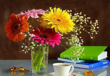 Books and blooms - flowers, coffee, gerbers, colors, books, candy