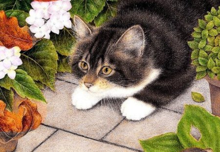 Anne Mortimer - flower, anne mortimer, kitten, cat