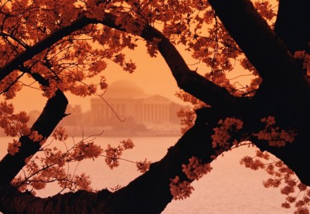 Dust - house, dust, trees, nature, lake