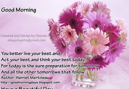 Good Morning - flowers, morning, pink, good