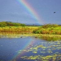 	Rainbow-Reflection