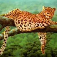 Jaguar On Branch